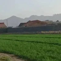 چهاردیواری باغی