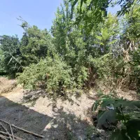 ویلاباغ550متری  شخصی ساز نزدیک دریا فریدونکنار|فروش خانه و ویلا|آستانه سرا, |دیوار