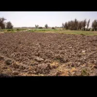 زمین فروشی اجاره جاده سرخس بزنگان