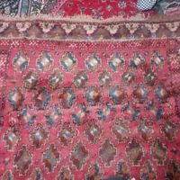 فرش دست باف زمینی کردی|فرش|مشهد, طبرسی شمالی|دیوار