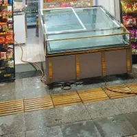 یخچال مرغ وماهی