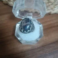 شجر طبیعی بارکاب دست ساز قدیمی|جواهرات|لاهیجان, کوی آزادگان|دیوار