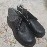 کفش کار|لباس|قزوین, |دیوار