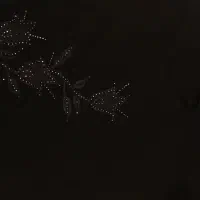 لباس زنانه|لباس|ماهدشت, |دیوار