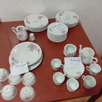 سرویس استیل و  چینی|ظروف سرو و پذیرایی|شیراز, گل سرخ|دیوار