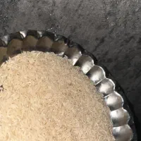 برنج شمال