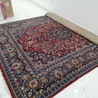 فرش ۱۲ متری|فرش|قائم‌شهر, |دیوار