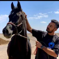 از این دریچه وارد دنیای اسب‌ها شوید