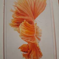 آیفون s6|موبایل|تبریز, |دیوار