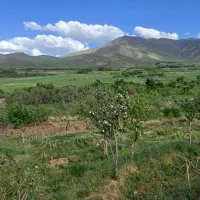 زمین در استانه