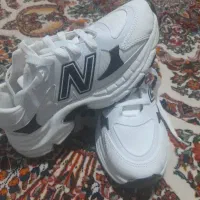 غیره|کیف، کفش، کمربند|کرمان, |دیوار