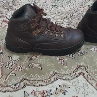 کتونی کوهنوردی و کفش مجلسی معاوضه با کفتر