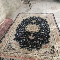 فرش ماشینی|فرش|مشهد, اروند|دیوار