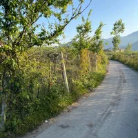 فروش باغ کیوی در شهرحویق|فروش زمین و ملک کلنگی|حویق, |دیوار