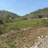 زمین فروشی|فروش زمین و ملک کلنگی|آلاشت, |دیوار