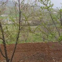 باغ کشاورزی پشت زریوار