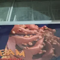 یخچال بستنی 600لیتری|فروشگاه و مغازه|خمینی‌شهر, |دیوار