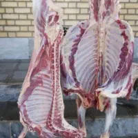 قصاب سیار بسیار حرفه ای با شماره تماس