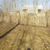 فروش زمین ۲۴۸ متری|فروش زمین و ملک کلنگی|رودبنه, |دیوار