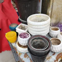 گلدان فقط زنگ بزنید پیام پاسخگو نیستم