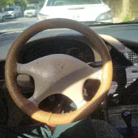 فرمون الکسی