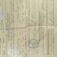 نریان ترکمن با برگه کشش|اسب و تجهیزات اسبسواری|مشهد, شهرک صنعتی توس|دیوار