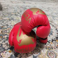 دستکش بوکس نو