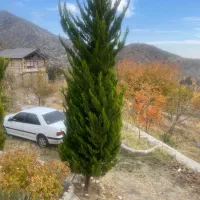 زمین-فروشی-ساردوئیه