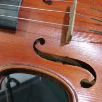 ویولن