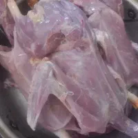 گوشت اردک