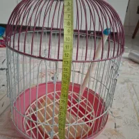 قفس استوانه کوچک|لوازم جانبی حیوانات|قرچک, شهرک گلها|دیوار