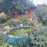 خونه باغ سنتی