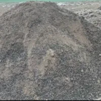 کود گوسفندی ۱۵تن