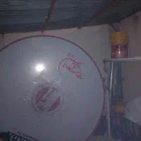 طبل ۲ متری سالم