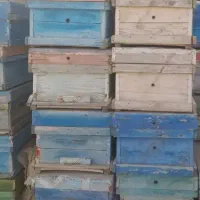 فروش صندوق زنبور