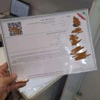 اخذ جواز کسب و کار خانگی و تجاری