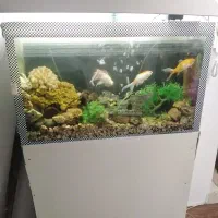 آکواریوم ماهی ابعاد ۱ در ۱.۲۰ عرض ۲۰