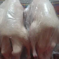 اردک محلی آیشی