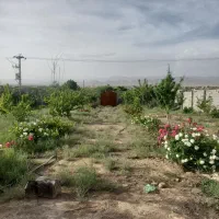 باغ درودیوار|فروش زمین و ملک کلنگی|مشهد, درزآب|دیوار