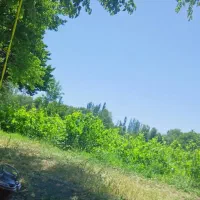 معاوضه باغ باویلا وآپارتمان|فروش دفتر صنعتی، کشاورزی، تجاری|مشگین شهر, |دیوار