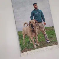 تابلو فرش و انواع فرشینه سوگند|تابلو فرش|گرمسار, |دیوار