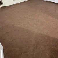 موکت|موکت|کرمانشاه, |دیوار