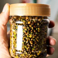 مغز پسته کوهی|خوردنی و آشامیدنی|شمشک, |دیوار