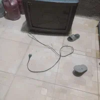 تلوزیون