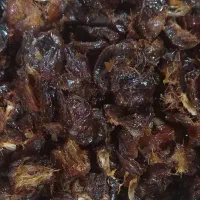 کلوچه خرمایی دزفولی کاملاخانگی|خوردنی و آشامیدنی|اهواز, منبع اب|دیوار