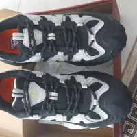 ۲جفت کتونی نو