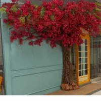 اجراو نصب تخصصی درخت شکوفه|گل مصنوعی|کیش, |دیوار