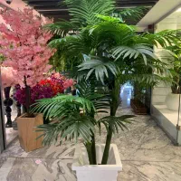 درختچه مصنوعی کنتیا سوزنی 5637|گل مصنوعی|تهران, شوش (باغ آذری)|دیوار