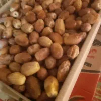 هورما‌زاهیدی‌موجوده‌100کیلوموجوده‌سراوان