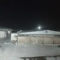 کارگر روزمزد خانوم